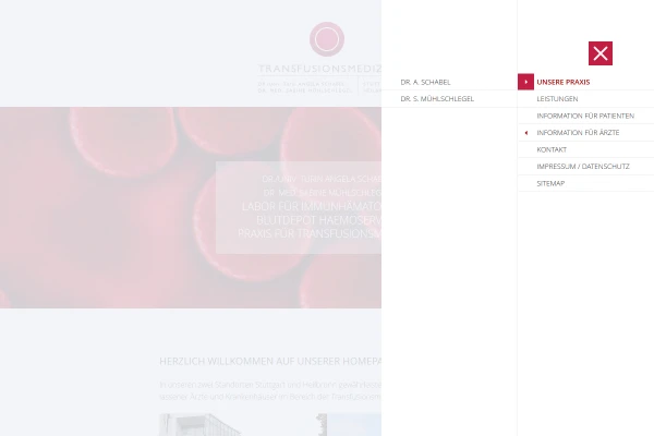 Webdesign Transfusionsmedizin 3
